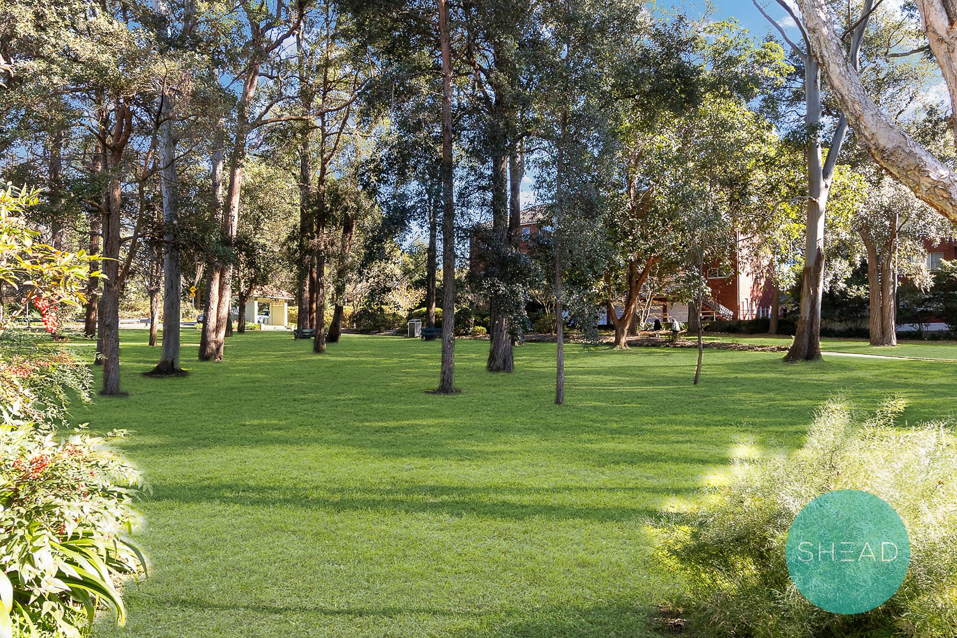 Gordon Leased by Shead Property - image 1