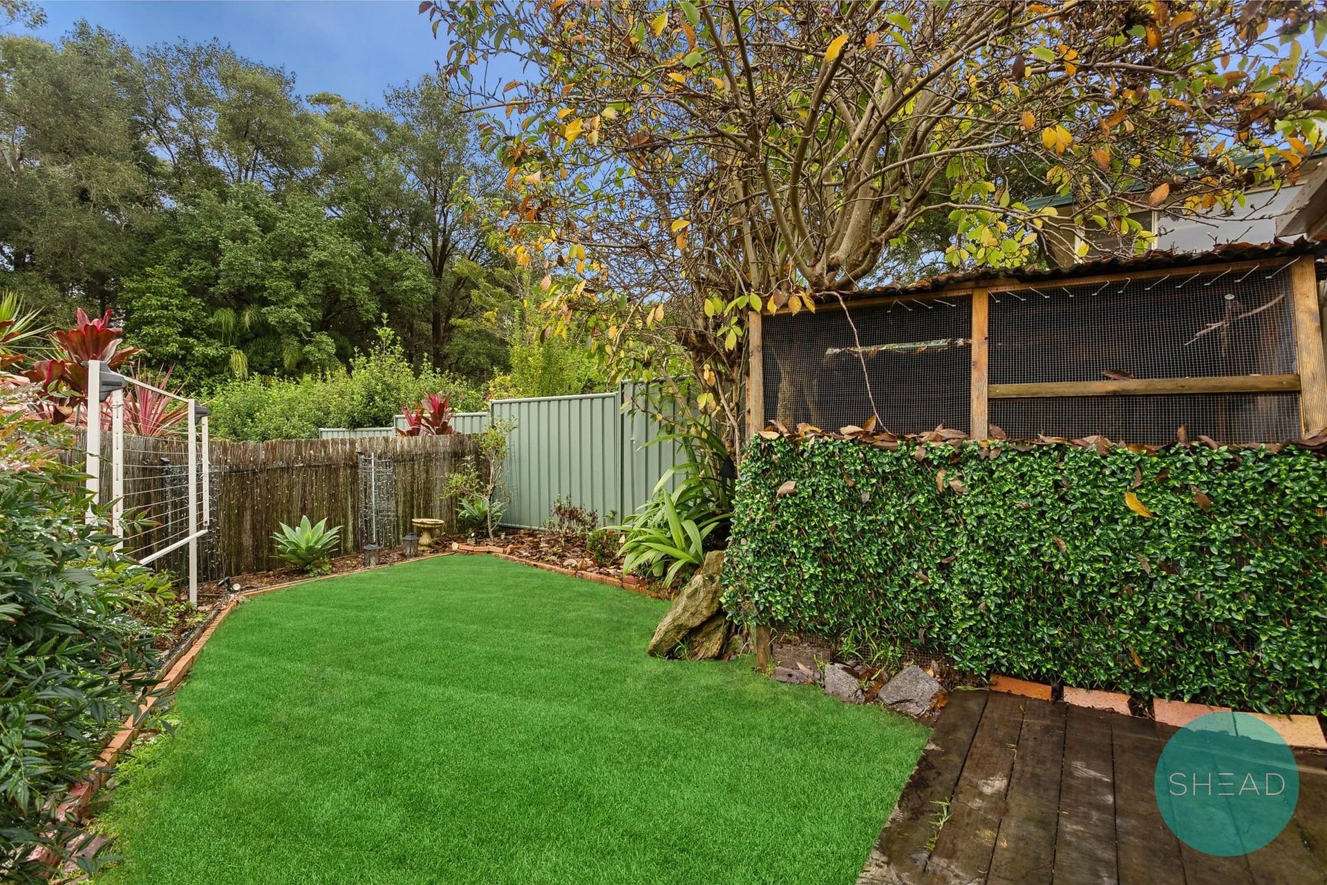 37 Pretoria Parade, Hornsby For Lease by Shead Property - image 1