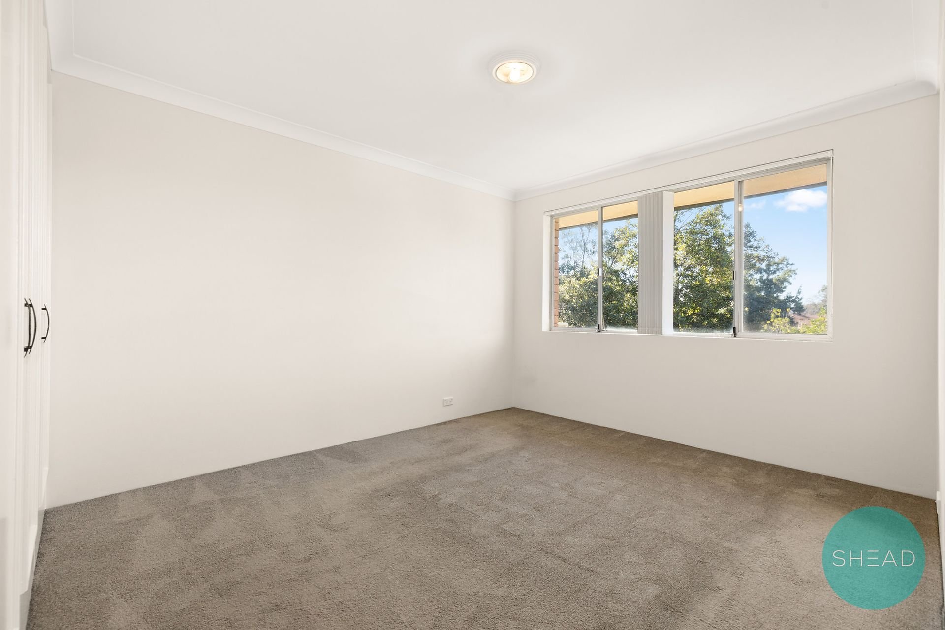 17/641 Pacific Highway, Chatswood For Lease by Shead Property - image 1