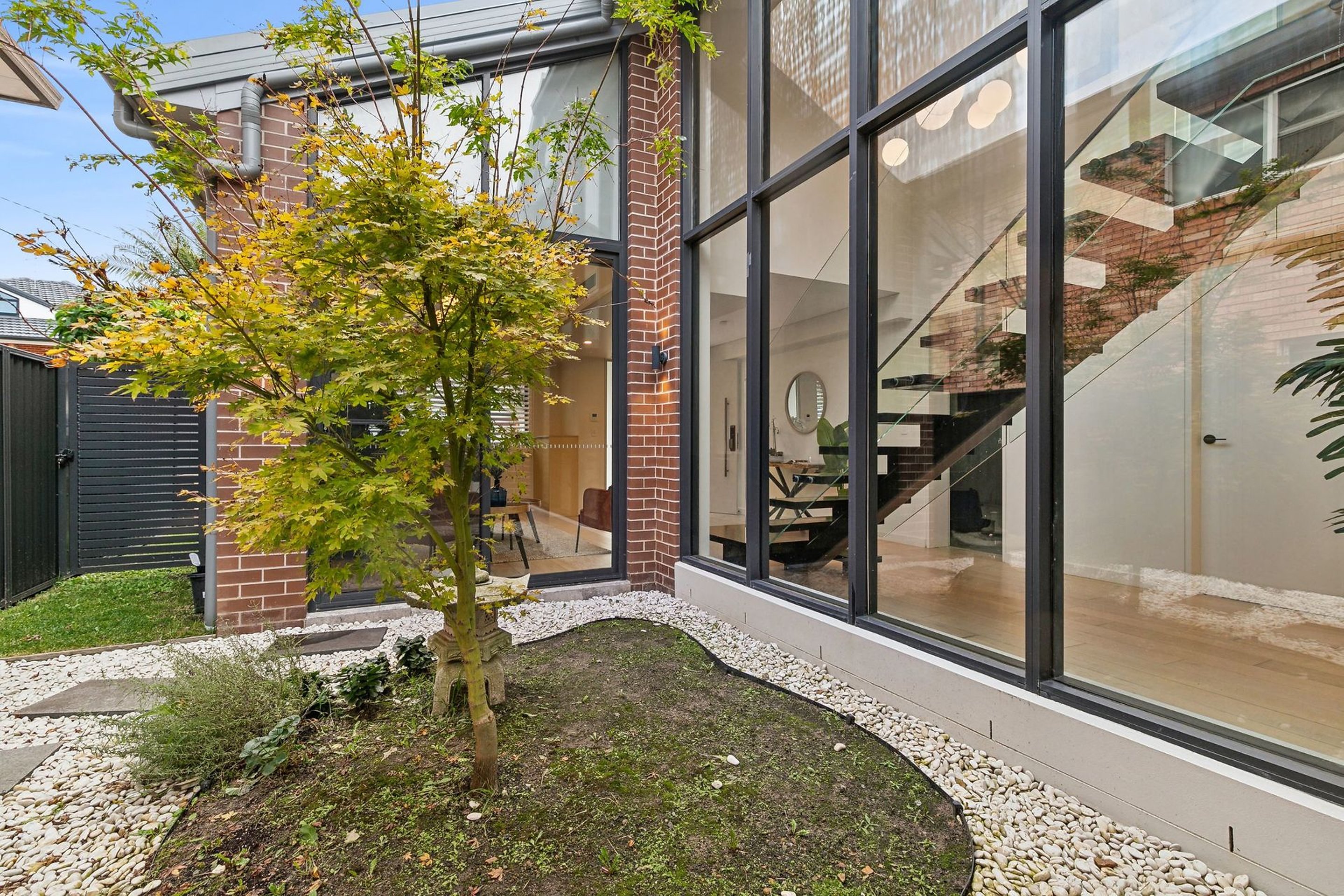 25 Olga Street, Chatswood For Lease by Shead Property - image 1