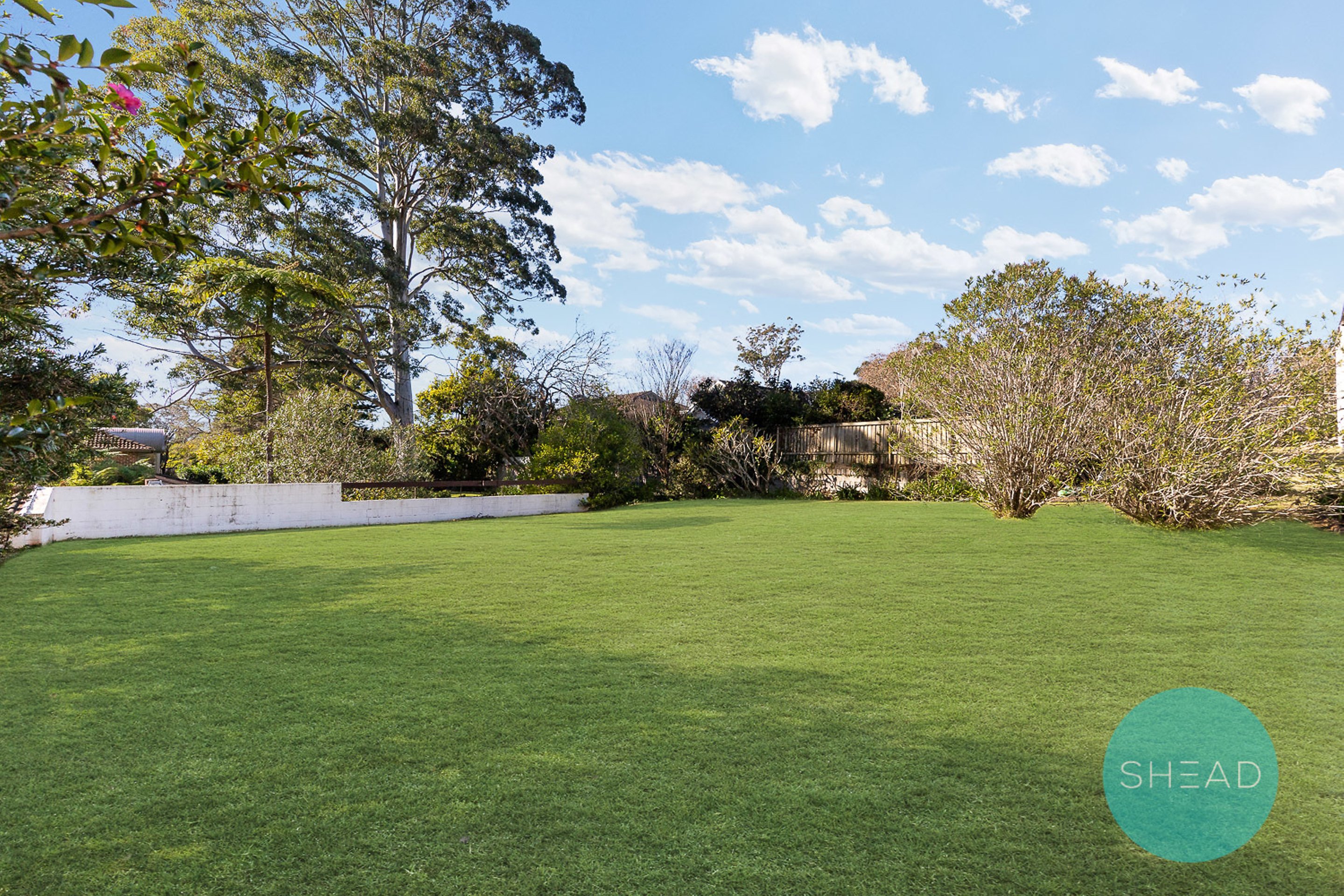 Gordon Leased by Shead Property - image 1