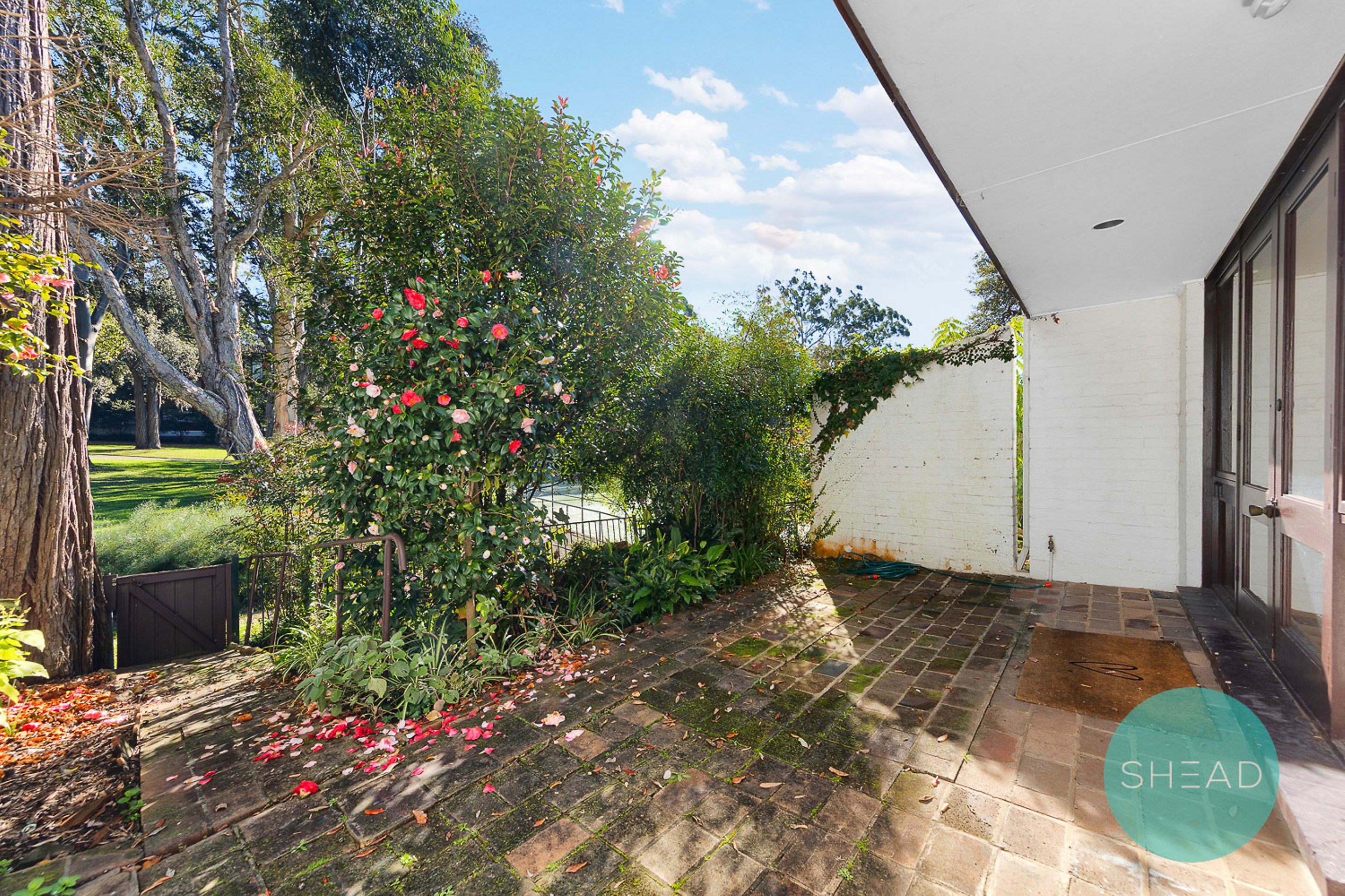 Gordon Leased by Shead Property - image 1