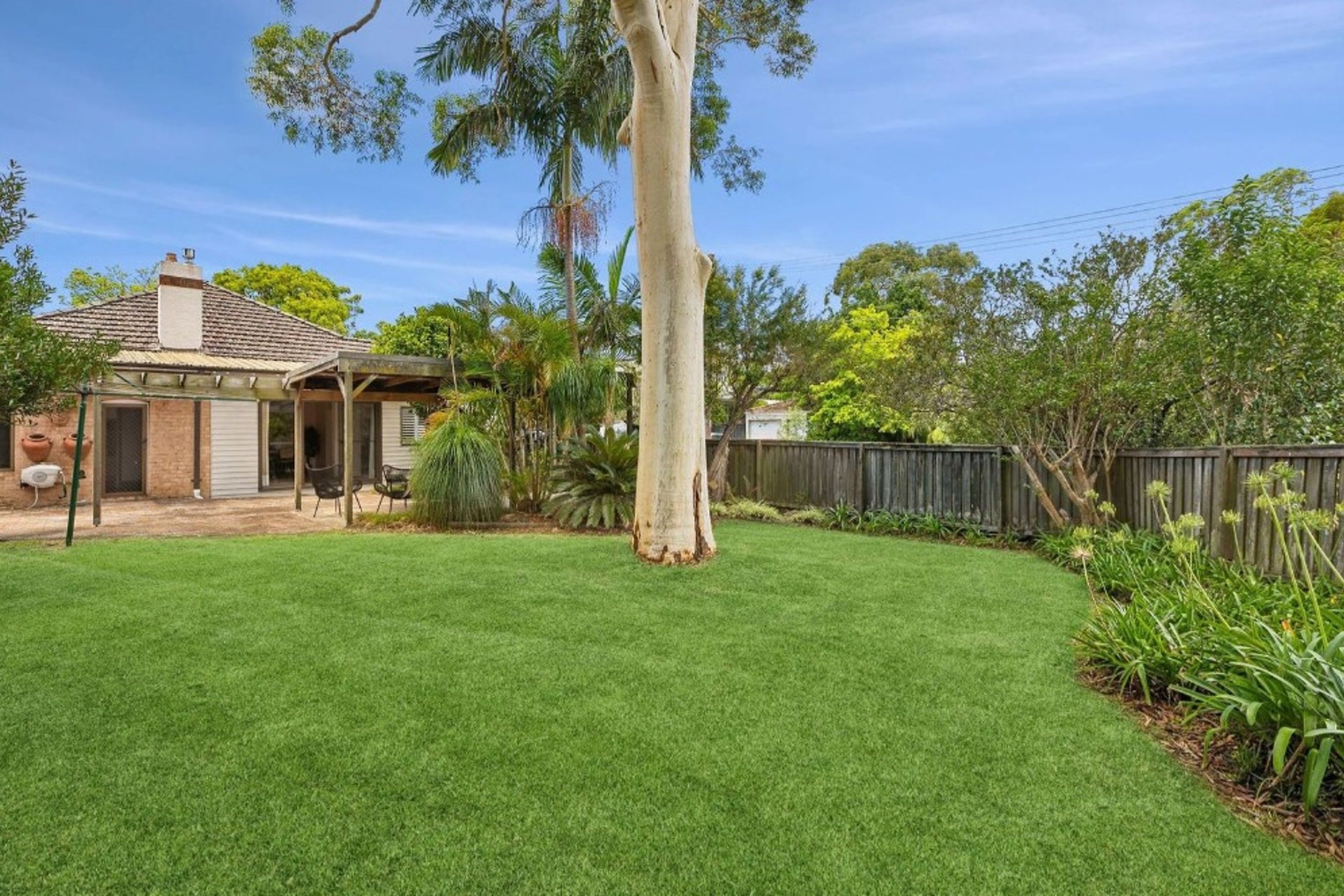 Chatswood Leased by Shead Property - image 1