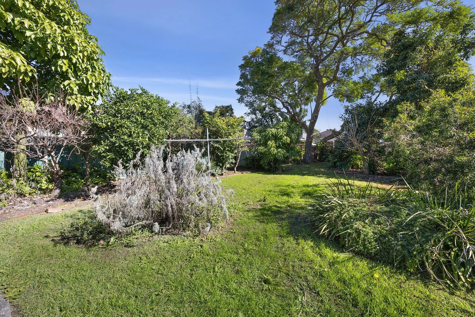 64 Alpha Road, Willoughby Sold by Shead Property - image 1