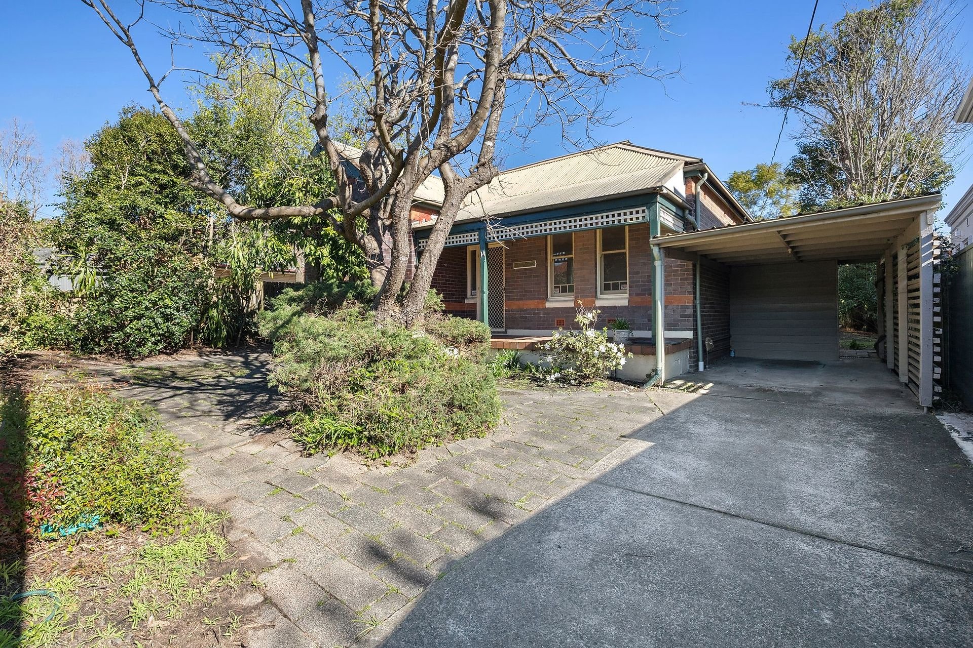 14 Jacques Street, Chatswood Sold by Shead Property - image 1