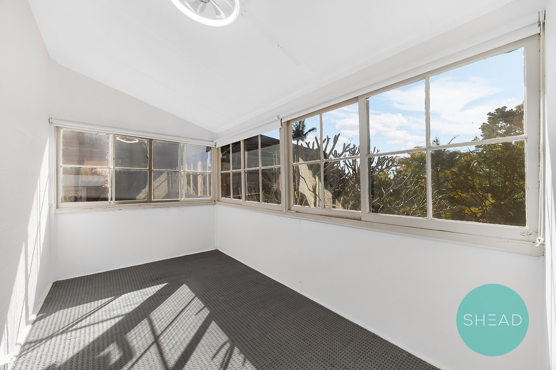 Chatswood Leased by Shead Property - image 1