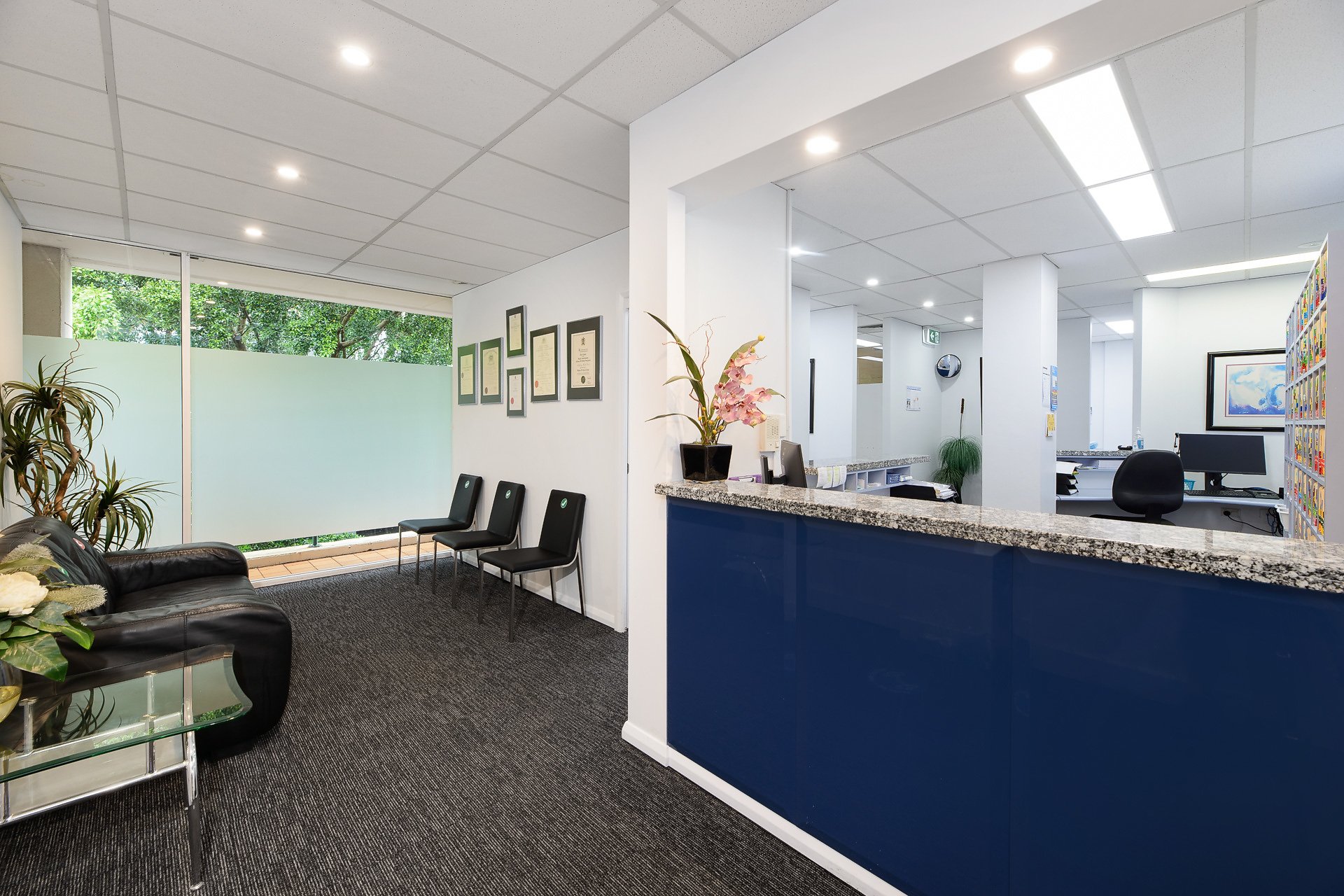 Suite 5/6 McIntosh Street, Chatswood For Lease by Shead Property - image 1