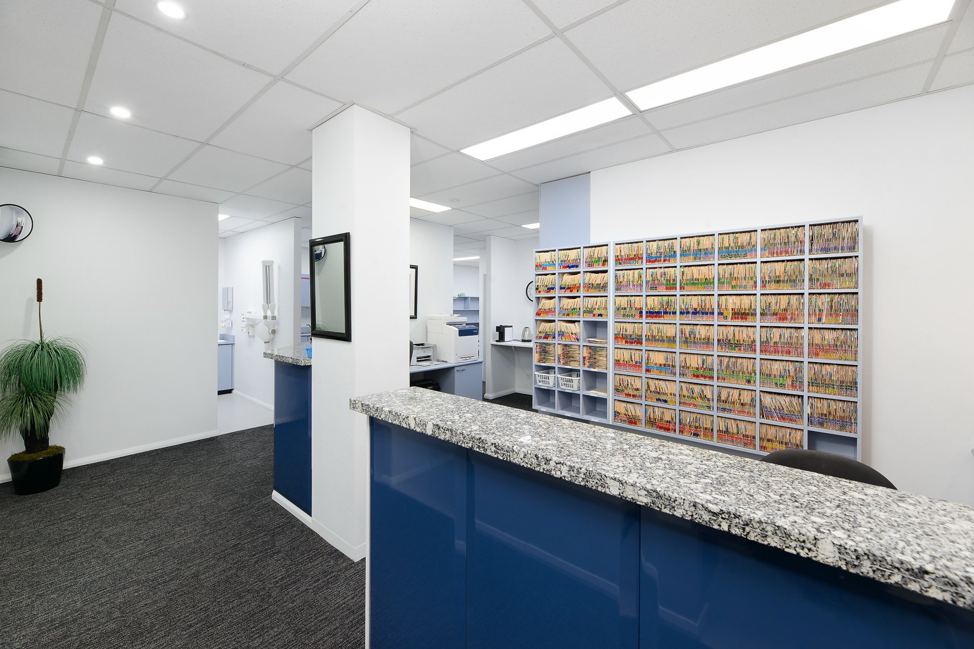 Suite 5/6 McIntosh Street, Chatswood For Lease by Shead Property - image 1