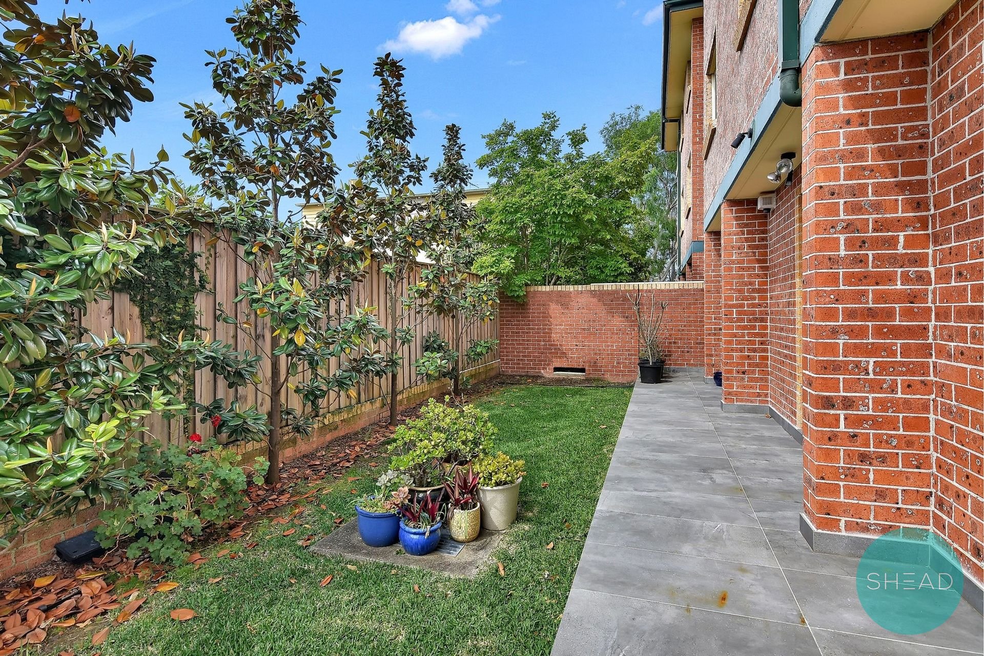 4/214-216 Sydney Street, North Willoughby For Lease by Shead Property - image 1