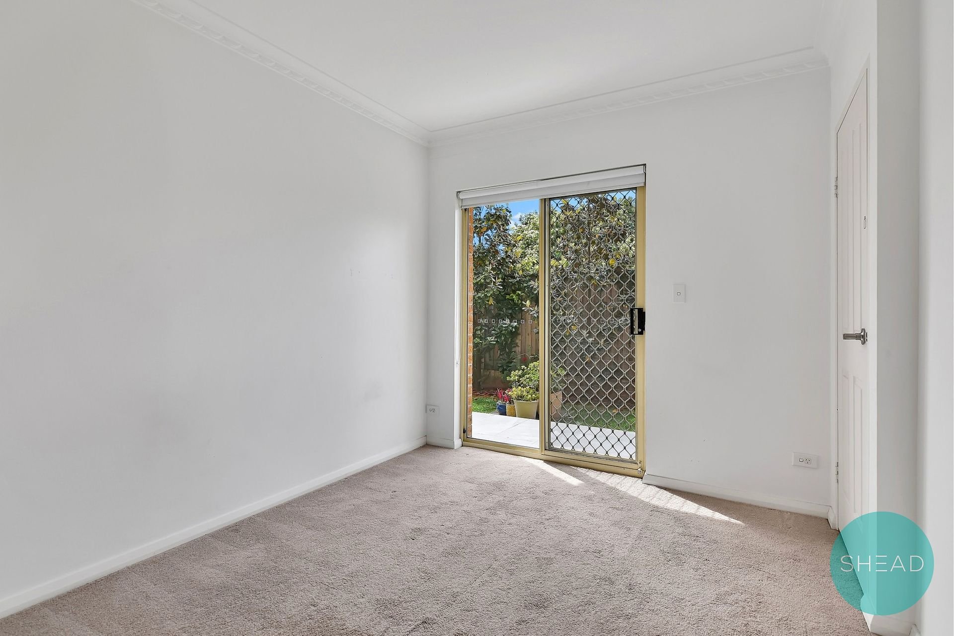 4/214-216 Sydney Street, North Willoughby For Lease by Shead Property - image 1