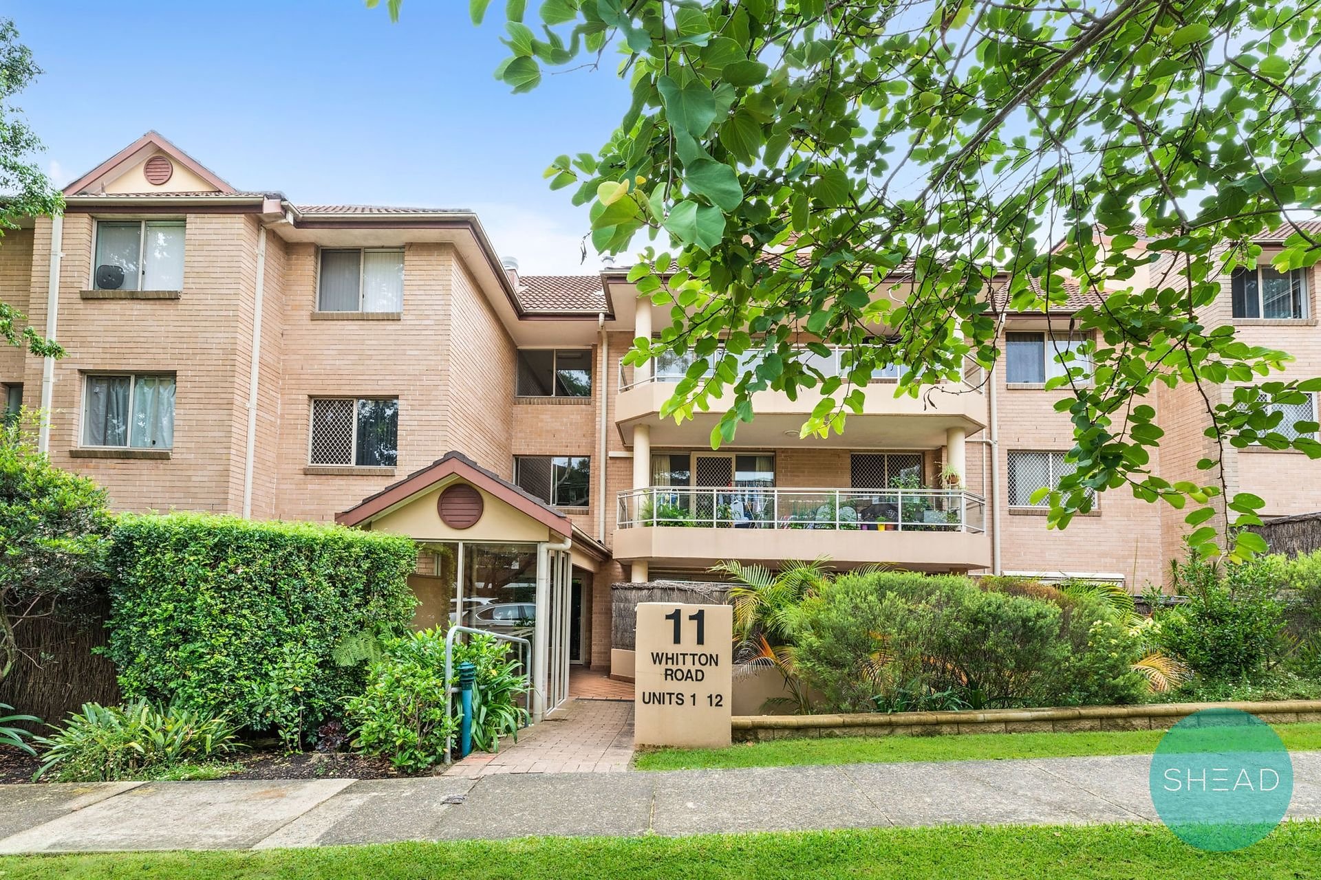 1/11 Sutherland Road, Chatswood For Lease by Shead Property - image 1