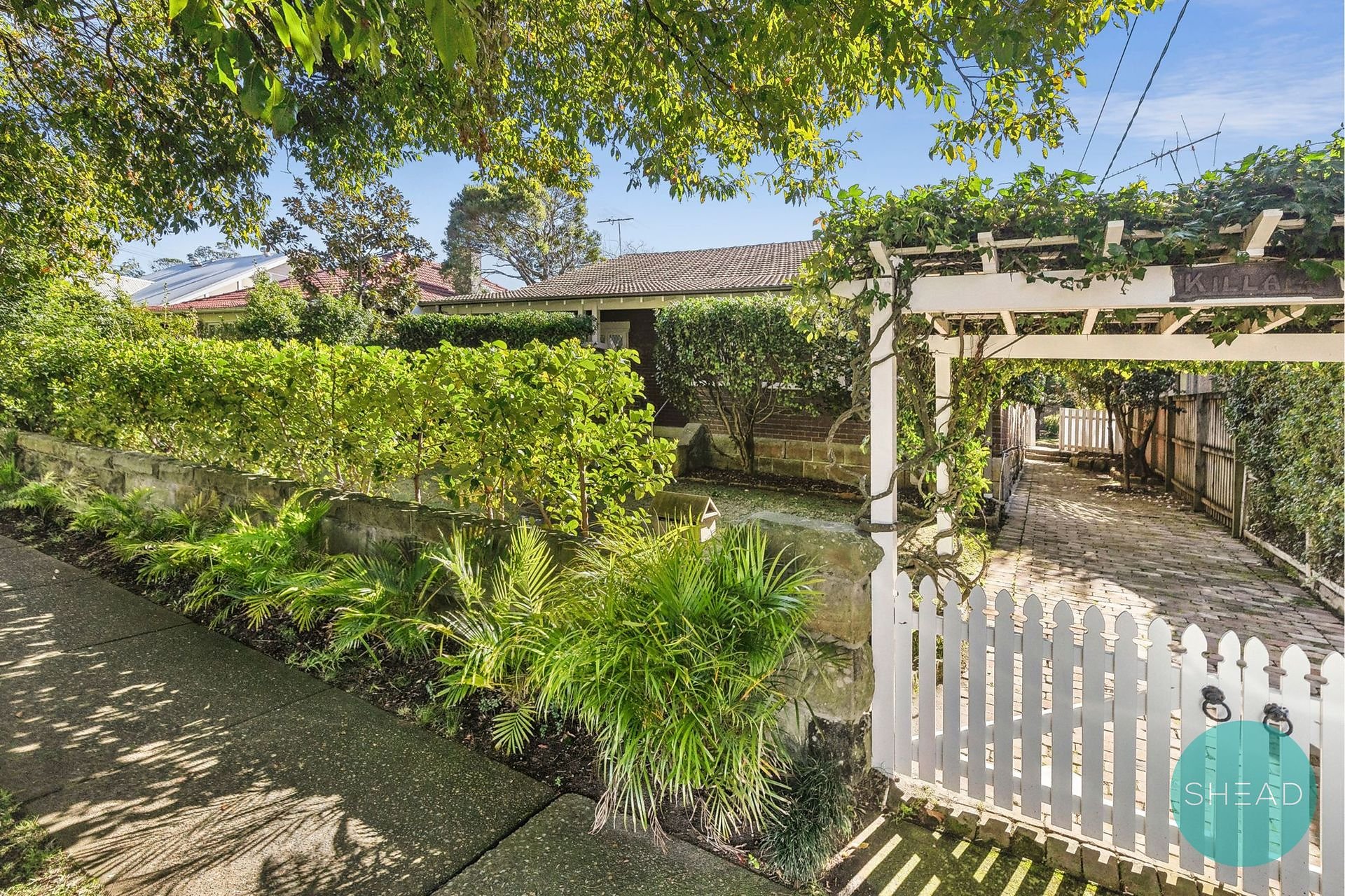 61 Baringa Road, Northbridge For Lease by Shead Property - image 1