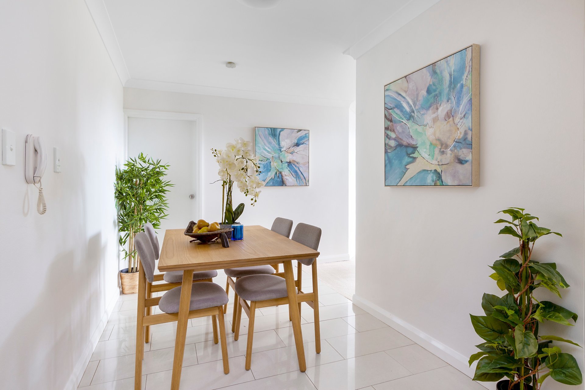 Artarmon Leased by Shead Property - image 1