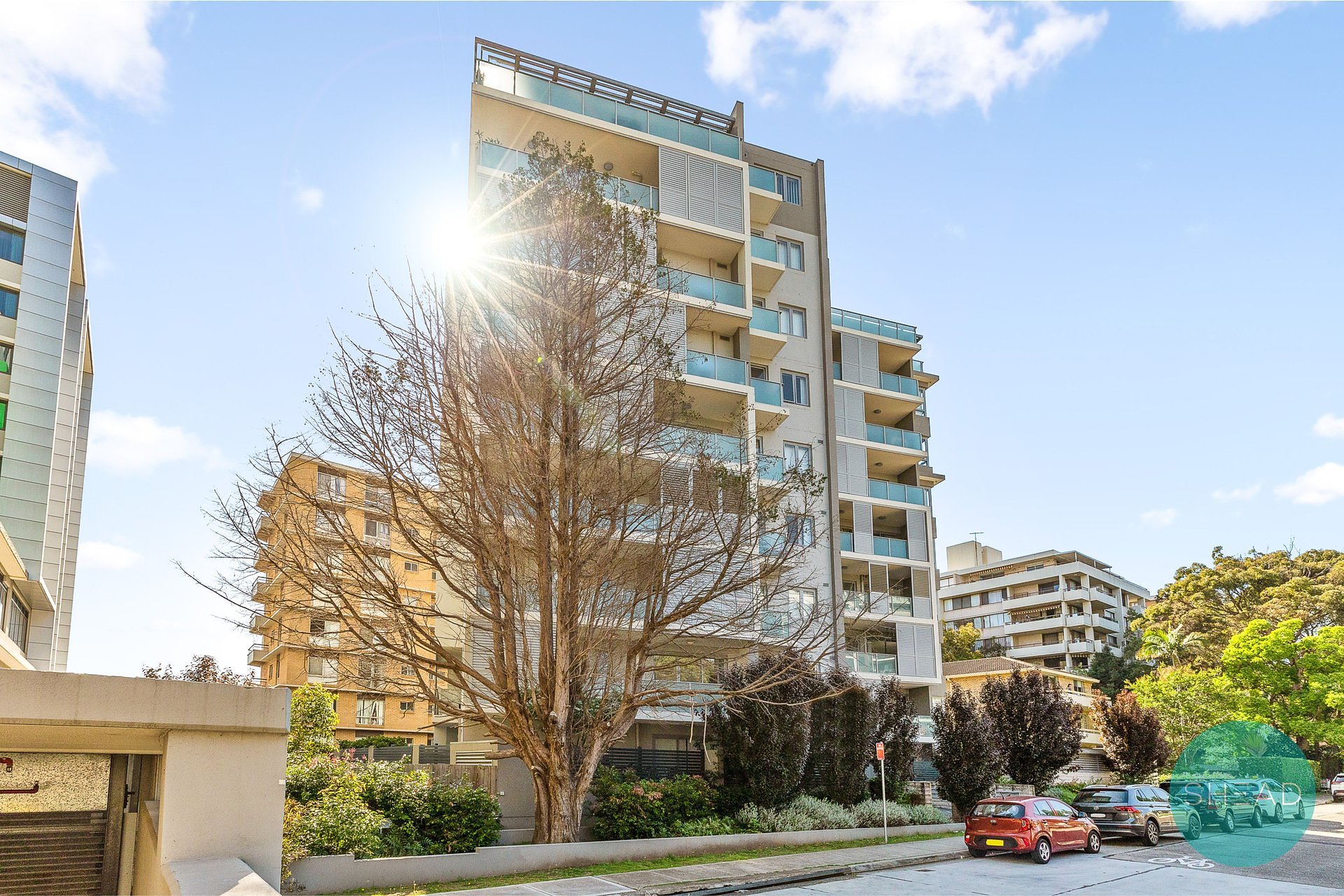 3/45 Claude Street, Chatswood For Lease by Shead Property - image 1