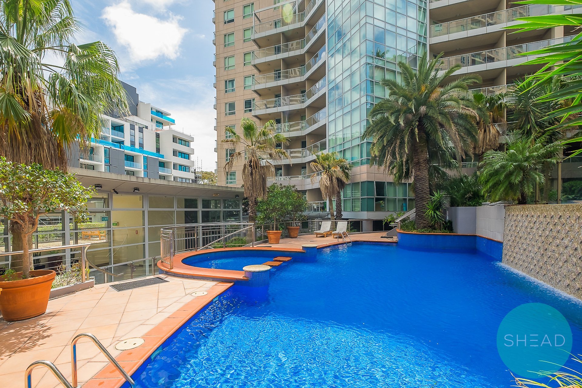A813/2A Help Street, Chatswood For Lease by Shead Property - image 1