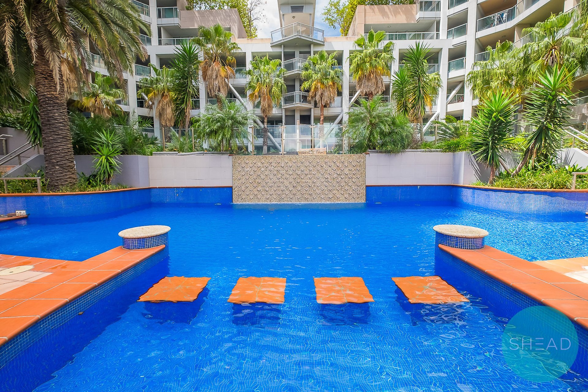 A813/2A Help Street, Chatswood For Lease by Shead Property - image 1