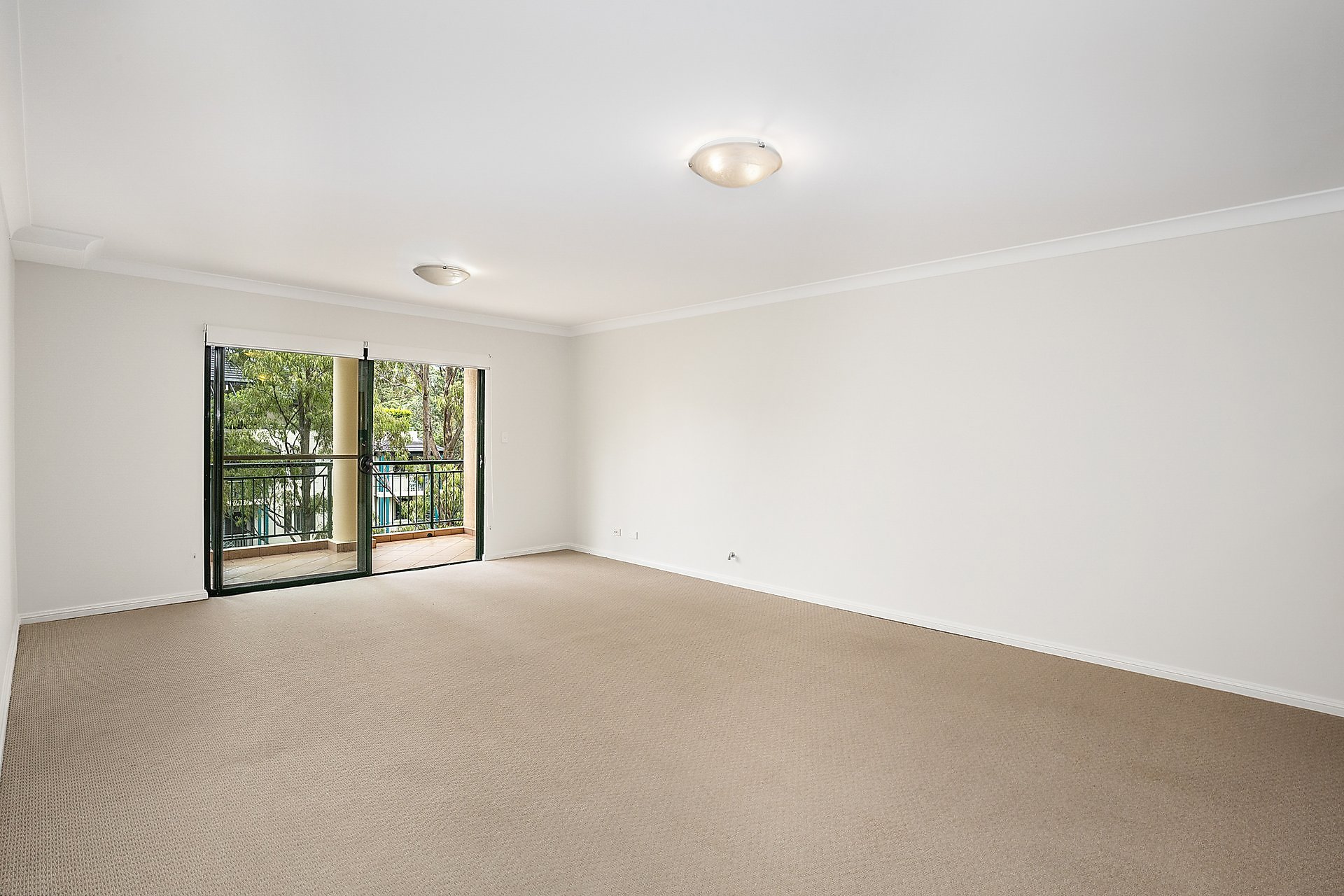 24/7 Freeman Road, Chatswood For Lease by Shead Property - image 1
