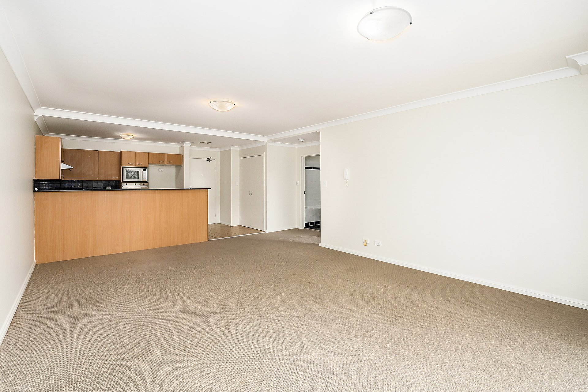 24/7 Freeman Road, Chatswood For Lease by Shead Property - image 1