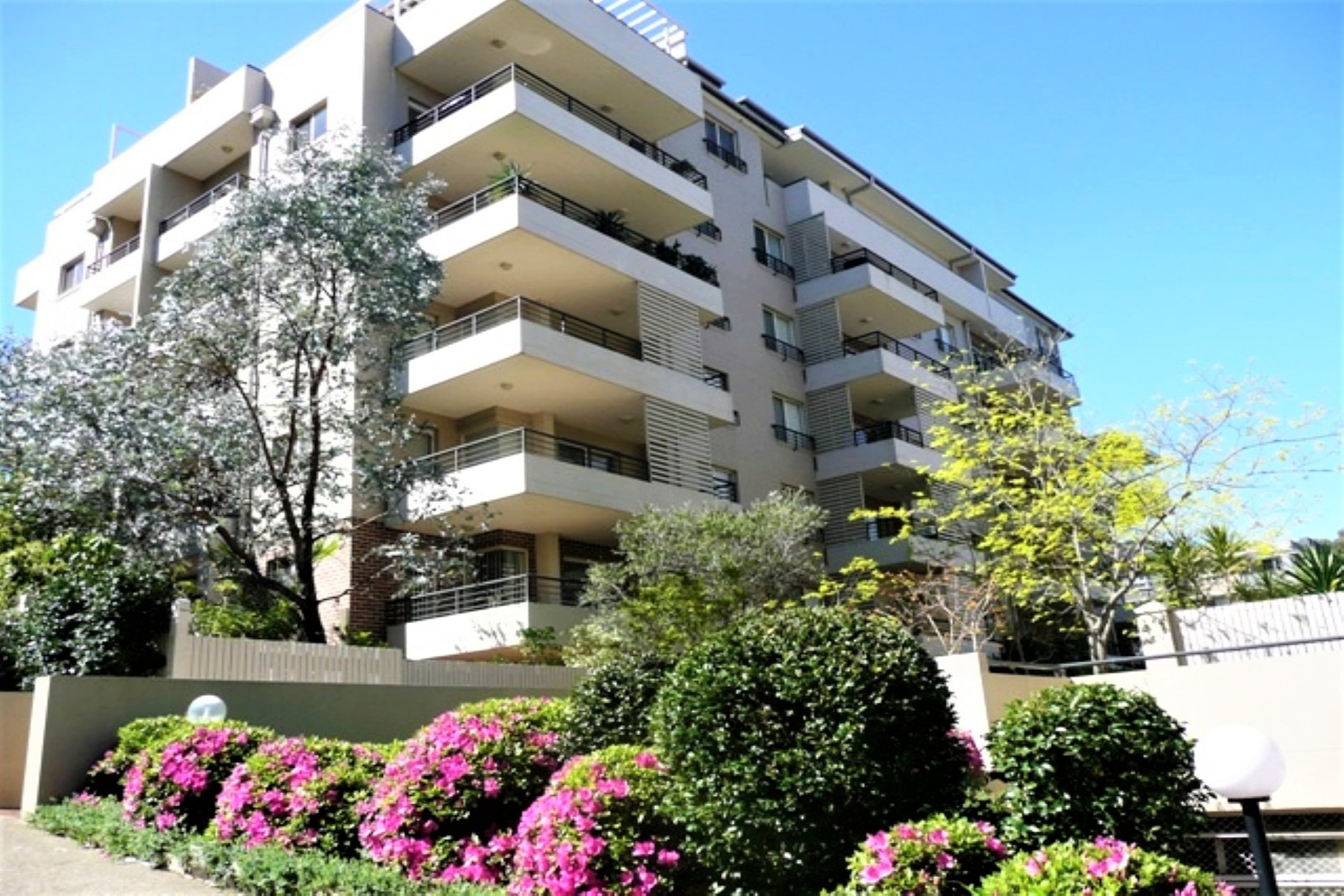 Chatswood Leased by Shead Property - image 1