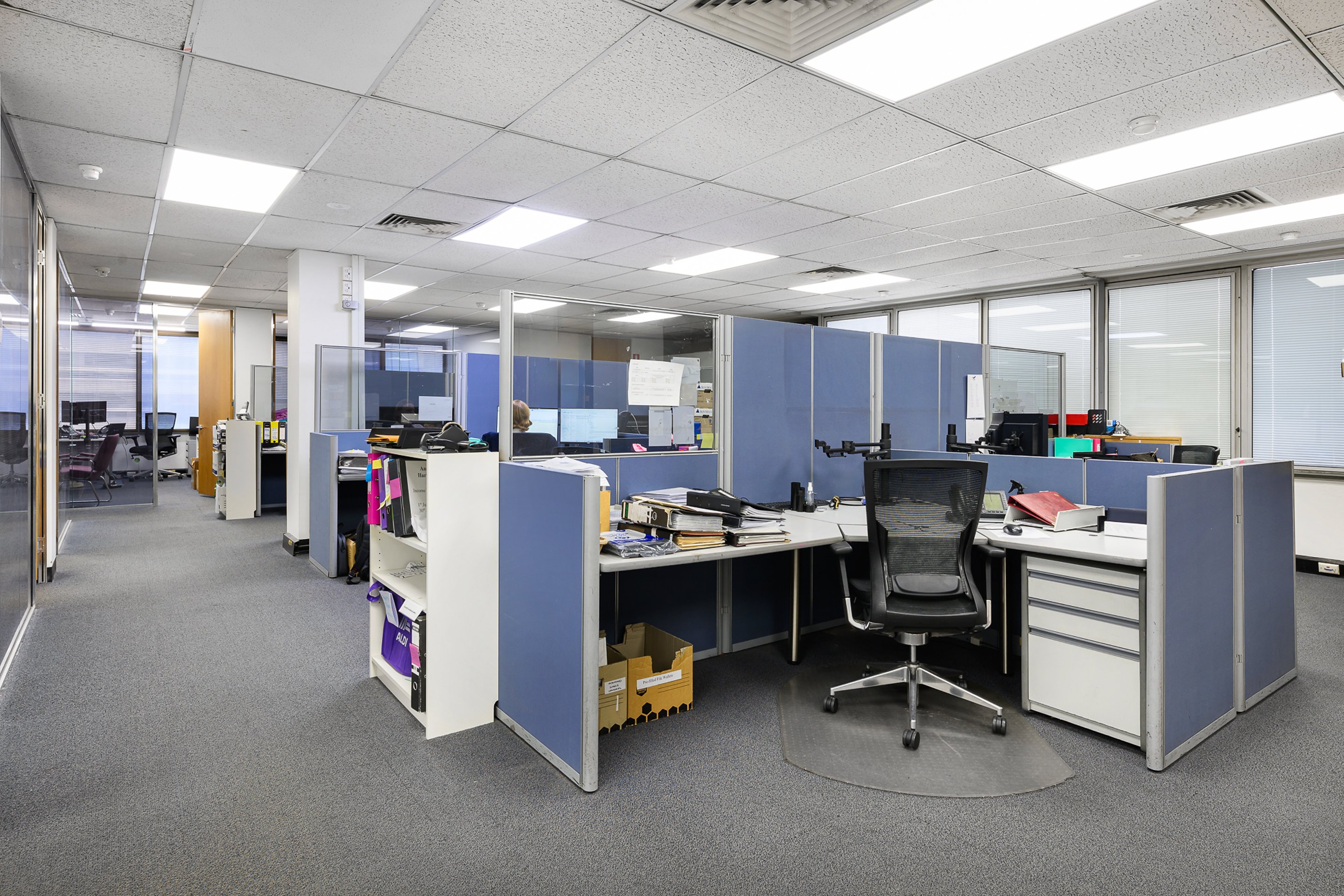 Suite 301/71-73 Archer Street, Chatswood For Lease by Shead Property - image 1