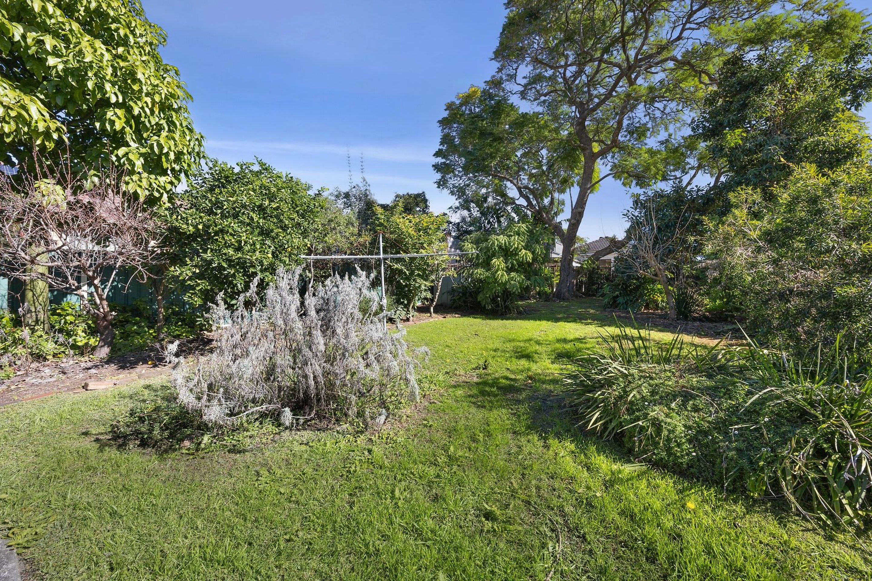 64 Alpha Road, Willoughby Sold by Shead Property - image 1