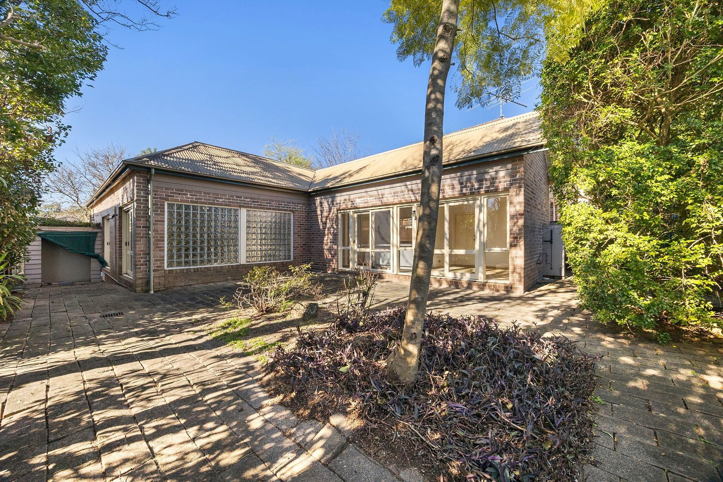14 Jacques Street, Chatswood Sold by Shead Property - image 1