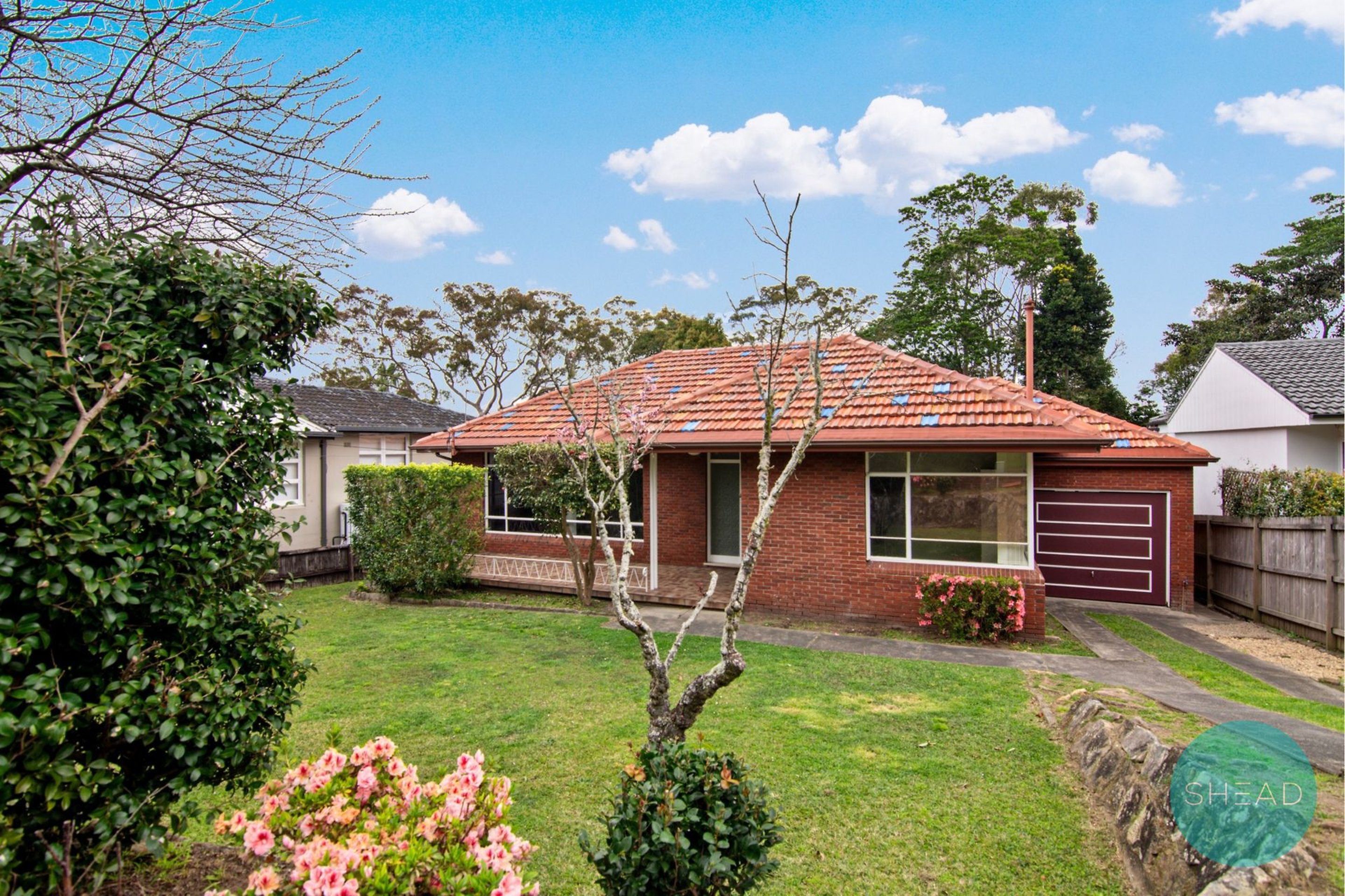 Castle Cove Leased by Shead Property - image 1
