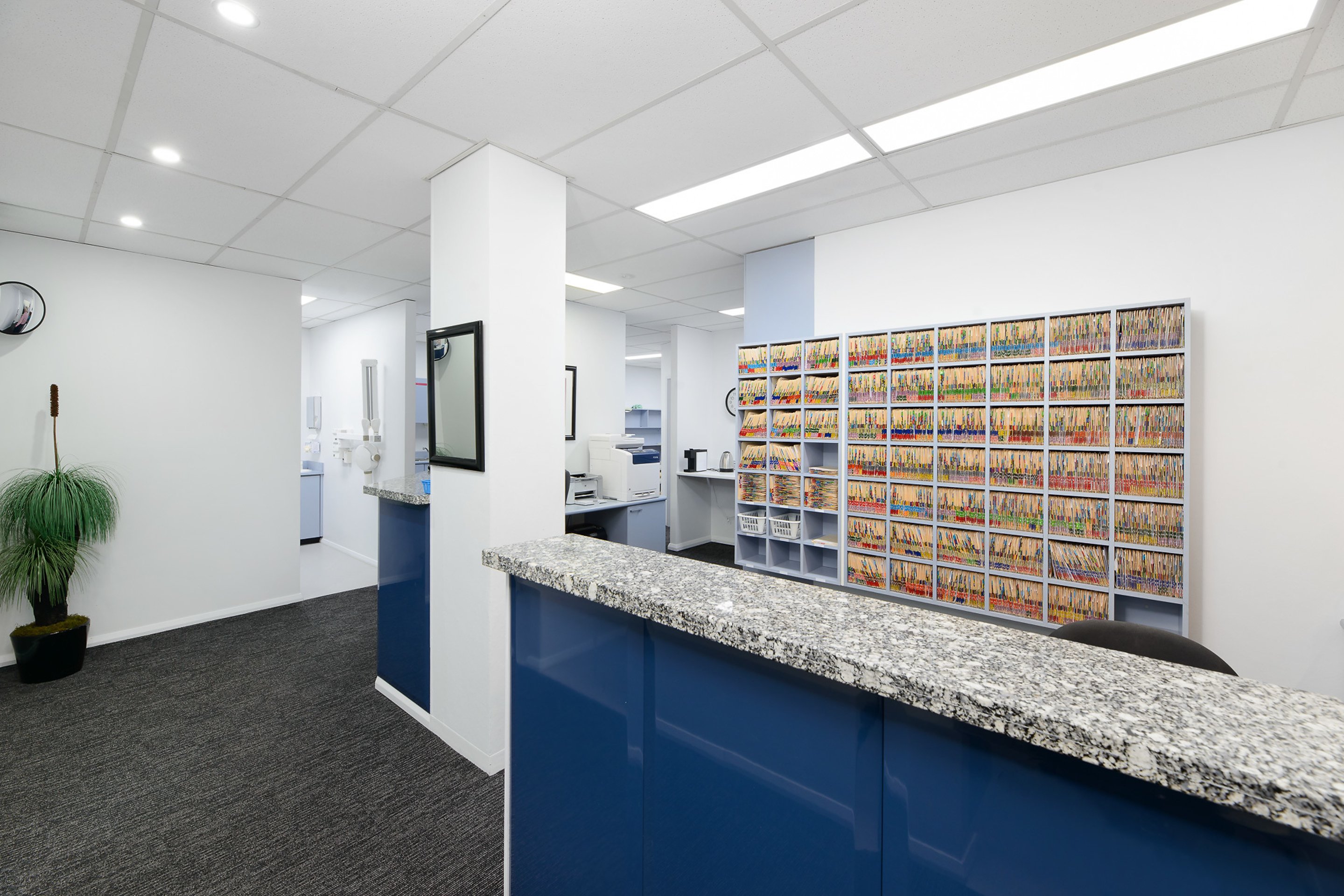 Suite 5/6 McIntosh Street, Chatswood For Lease by Shead Property - image 1
