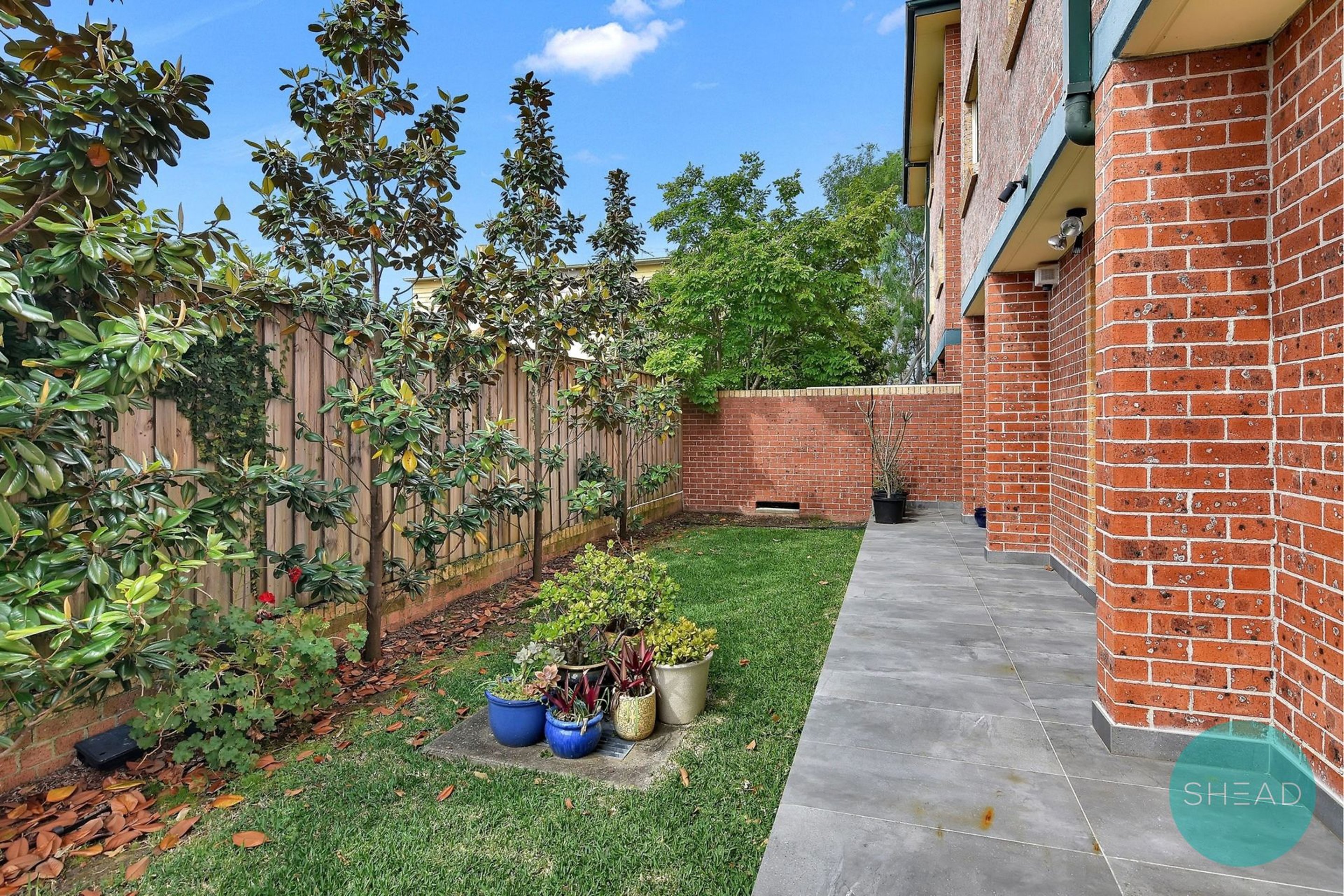 4/214-216 Sydney Street, North Willoughby For Lease by Shead Property - image 1