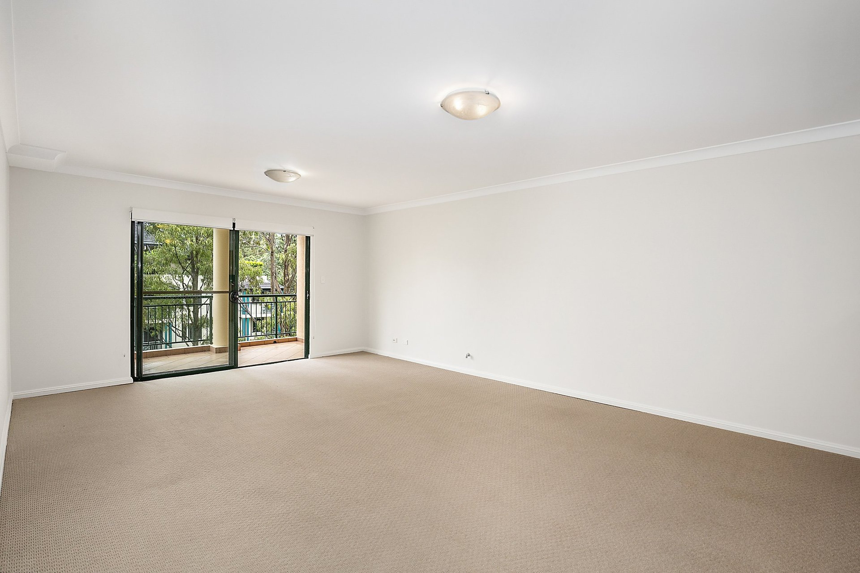 24/7 Freeman Road, Chatswood For Lease by Shead Property - image 1