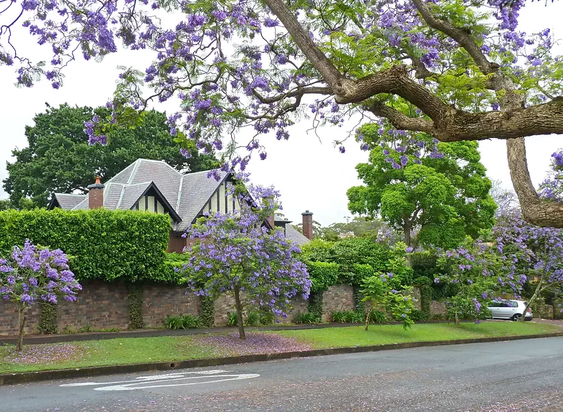 Killara